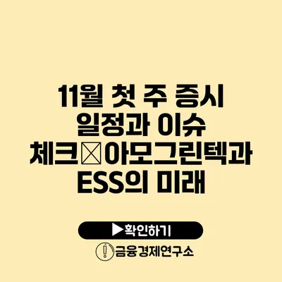 11월 첫 주 증시 일정과 이슈 체크�아모그린텍과 ESS의 미래