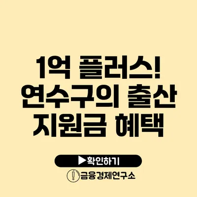 1억 플러스! 연수구의 출산 지원금 혜택