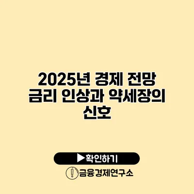 2025년 경제 전망 금리 인상과 약세장의 신호