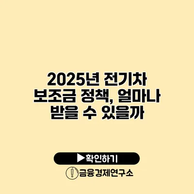 2025년 전기차 보조금 정책, 얼마나 받을 수 있을까?