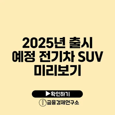 2025년 출시 예정 전기차 SUV 미리보기