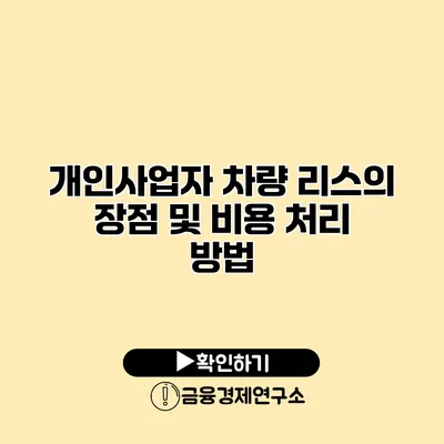 개인사업자 차량 리스의 장점 및 비용 처리 방법