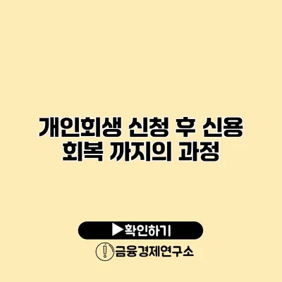 개인회생 신청 후 신용 회복 까지의 과정