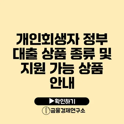 개인회생자 정부 대출 상품 종류 및 지원 가능 상품 안내