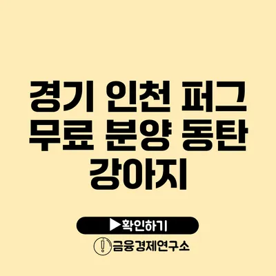 경기 인천 퍼그 무료 분양 동탄 강아지