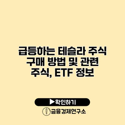 급등하는 테슬라 주식 구매 방법 및 관련 주식, ETF 정보