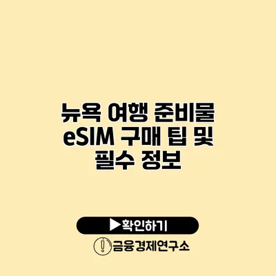 뉴욕 여행 준비물 eSIM 구매 팁 및 필수 정보