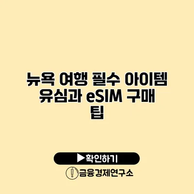 뉴욕 여행 필수 아이템 유심과 eSIM 구매 팁