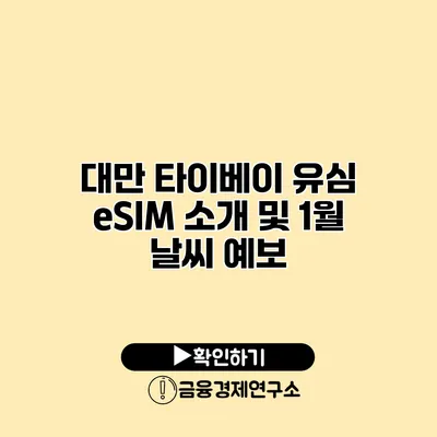 대만 타이베이 유심 eSIM 소개 및 1월 날씨 예보