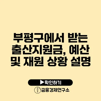 부평구에서 받는 출산지원금, 예산 및 재원 상황 설명