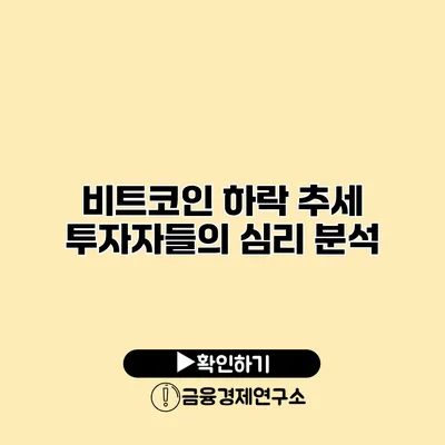 비트코인 하락 추세 투자자들의 심리 분석