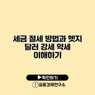 세금 절세 방법과 헷지 달러 강세 약세 이해하기