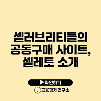 셀러브리티들의 공동구매 사이트, 셀레토 소개