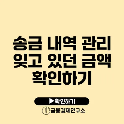 송금 내역 관리 잊고 있던 금액 확인하기