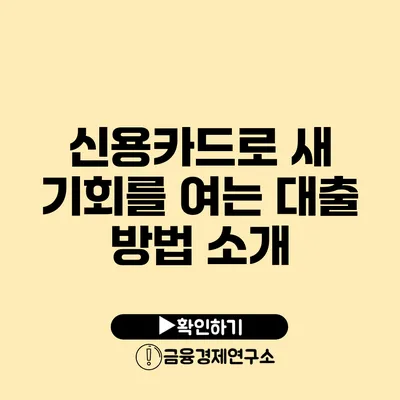 신용카드로 새 기회를 여는 대출 방법 소개