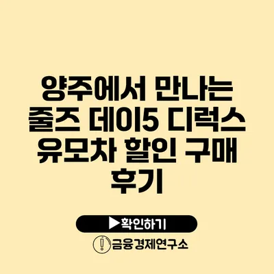 양주에서 만나는 줄즈 데이5 디럭스 유모차 할인 구매 후기