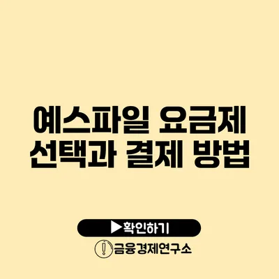 예스파일 요금제 선택과 결제 방법