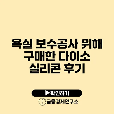 욕실 보수공사 위해 구매한 다이소 실리콘 후기