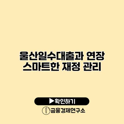 울산일수대출과 연장 스마트한 재정 관리