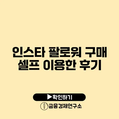 인스타 팔로워 구매 셀프 이용한 후기