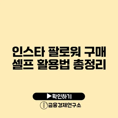 인스타 팔로워 구매 셀프 활용법 총정리