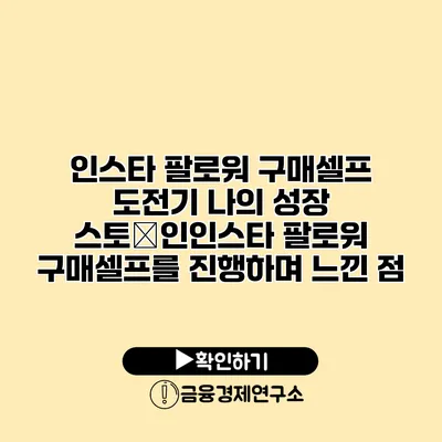 인스타 팔로워 구매셀프 도전기 나의 성장 스토�인인스타 팔로워 구매셀프를 진행하며 느낀 점