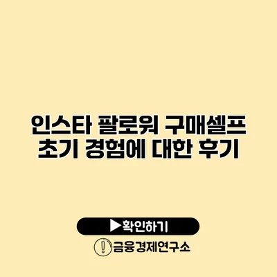 인스타 팔로워 구매셀프 초기 경험에 대한 후기