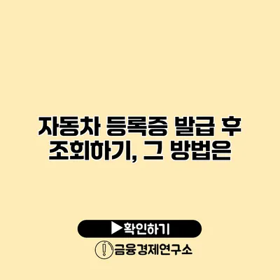 자동차 등록증 발급 후 조회하기, 그 방법은?