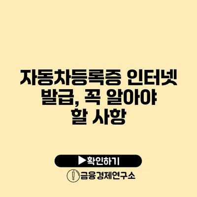 자동차등록증 인터넷 발급, 꼭 알아야 할 사항