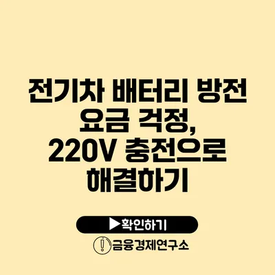 전기차 배터리 방전 요금 걱정, 220V 충전으로 해결하기