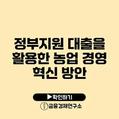 정부지원 대출을 활용한 농업 경영 혁신 방안