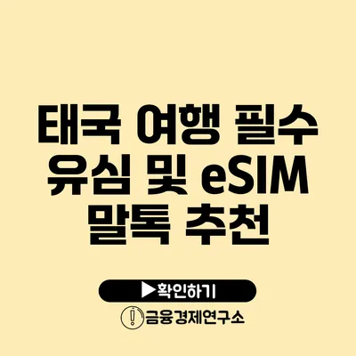 태국 여행 필수 유심 및 eSIM 말톡 추천