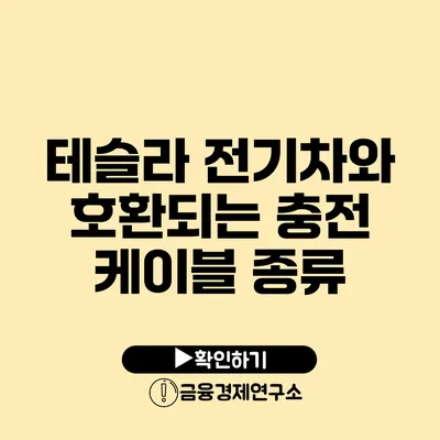 테슬라 전기차와 호환되는 충전 케이블 종류