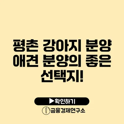 평촌 강아지 분양 애견 분양의 좋은 선택지!