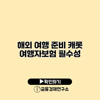 해외 여행 준비 캐롯 여행자보험 필수성