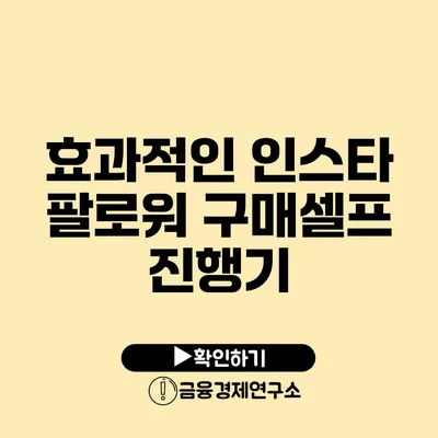 효과적인 인스타 팔로워 구매셀프 진행기