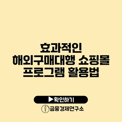 효과적인 해외구매대행 쇼핑몰 프로그램 활용법