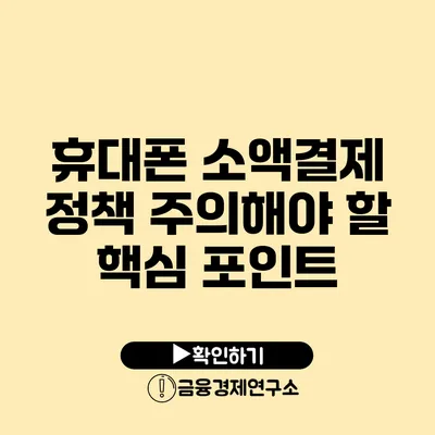 휴대폰 소액결제 정책 주의해야 할 핵심 포인트