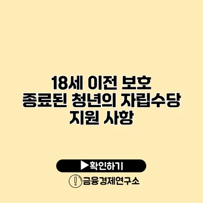18세 이전 보호 종료된 청년의 자립수당 지원 사항