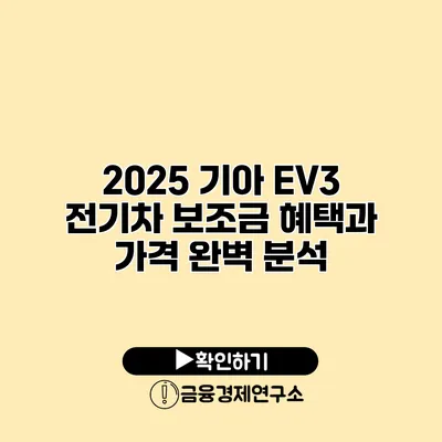 2025 기아 EV3 전기차 보조금 혜택과 가격 완벽 분석