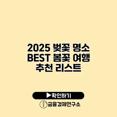 2025 벚꽃 명소 BEST 봄꽃 여행 추천 리스트