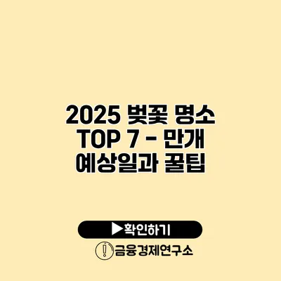 2025 벚꽃 명소 TOP 7 - 만개 예상일과 꿀팁