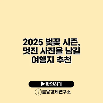 2025 벚꽃 시즌, 멋진 사진을 남길 여행지 추천