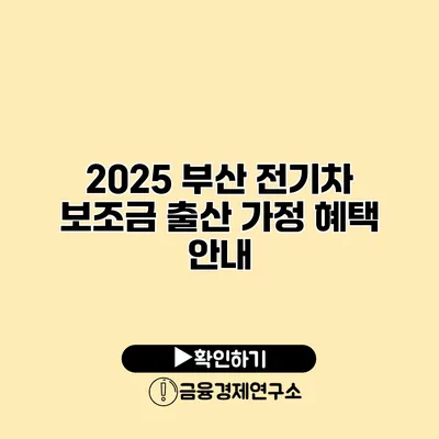 2025 부산 전기차 보조금 출산 가정 혜택 안내