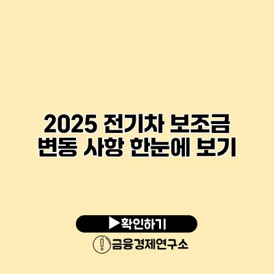 2025 전기차 보조금 변동 사항 한눈에 보기