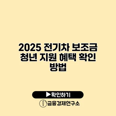 2025 전기차 보조금 청년 지원 혜택 확인 방법