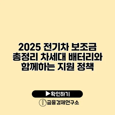2025 전기차 보조금 총정리 차세대 배터리와 함께하는 지원 정책
