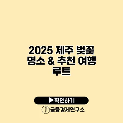 2025 제주 벚꽃 명소 & 추천 여행 루트