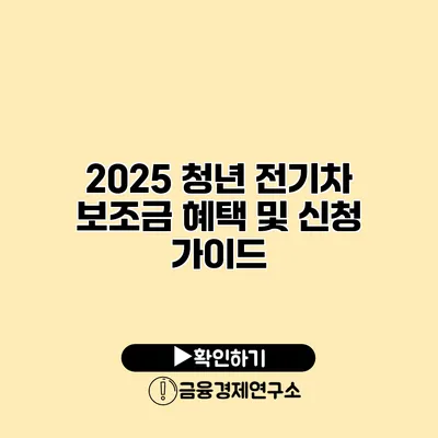 2025 청년 전기차 보조금 혜택 및 신청 가이드