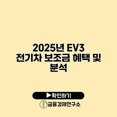 2025년 EV3 전기차 보조금 혜택 및 분석